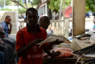 DSC_7581 (Large).JPG